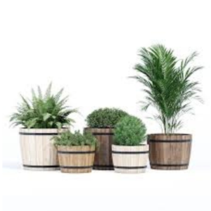 Wooden Barrel Pots